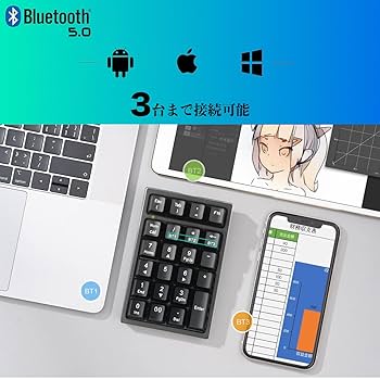 KcBlueJp テンキー 有線&Bluetooth 5.0 Amazon.co.jp: Bluetooth5.0+有線 テンキー KcBlueJP メカニカル